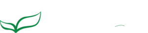 Your Home is Where Our Heart is | Rolox Home Service