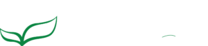 Your Home is Where Our Heart is | Rolox Home Service