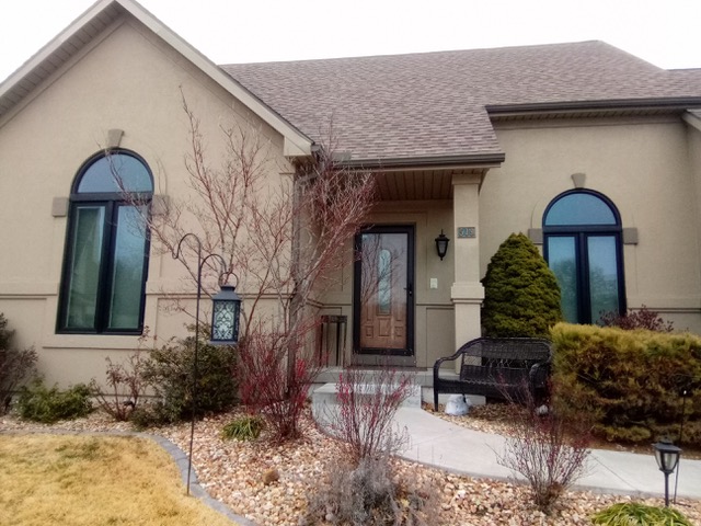 New Replacement Windows