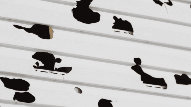 damaged siding from hail